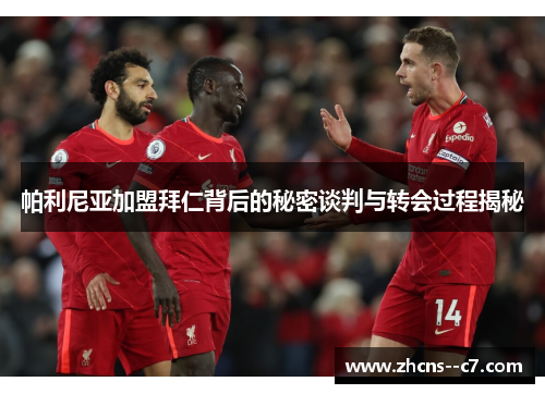 帕利尼亚加盟拜仁背后的秘密谈判与转会过程揭秘