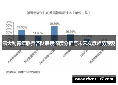 意大利青年联赛各队表现深度分析与未来发展趋势预测