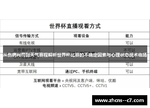 从伤病判罚到天气赛程解析世界杯比赛的不确定因素与心理状态战术临场